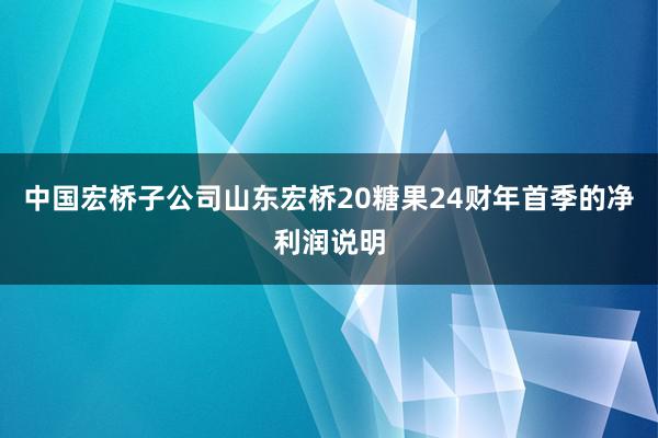 中国宏桥子公司山东宏桥20糖果24财年首季的净利润说明